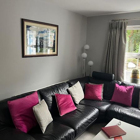 Five Oaks Bed & Breakfast Londonderry Ngoại thất bức ảnh