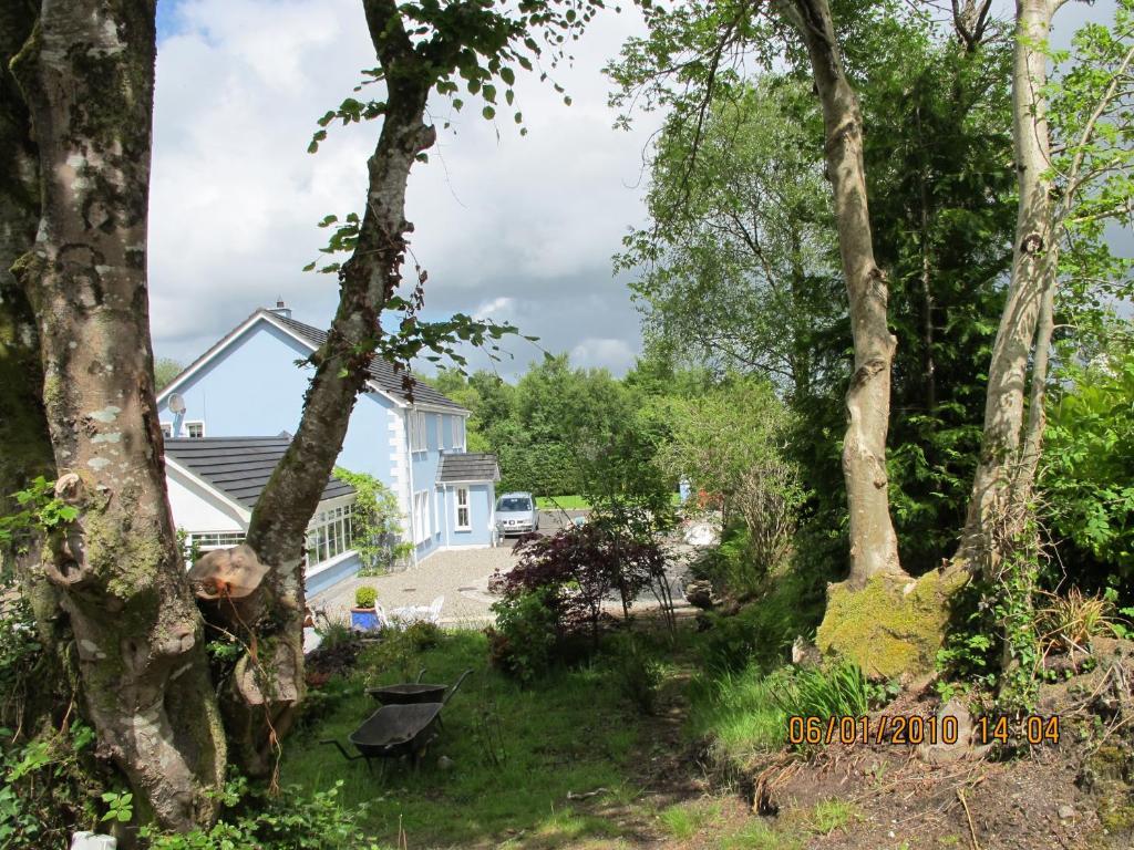 Five Oaks Bed & Breakfast Londonderry Ngoại thất bức ảnh