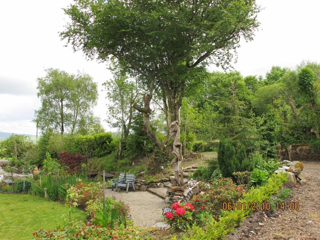 Five Oaks Bed & Breakfast Londonderry Ngoại thất bức ảnh