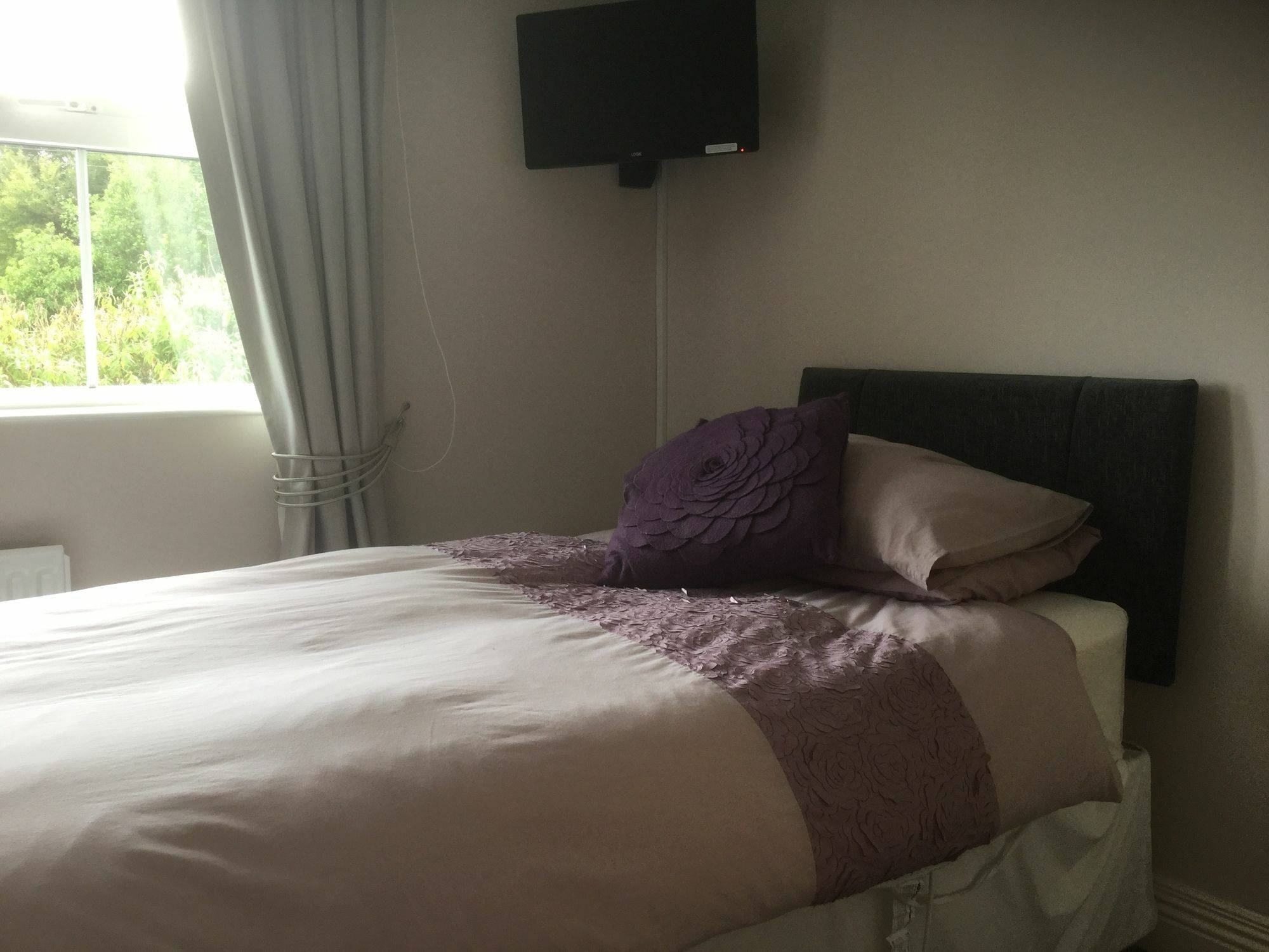 Five Oaks Bed & Breakfast Londonderry Ngoại thất bức ảnh