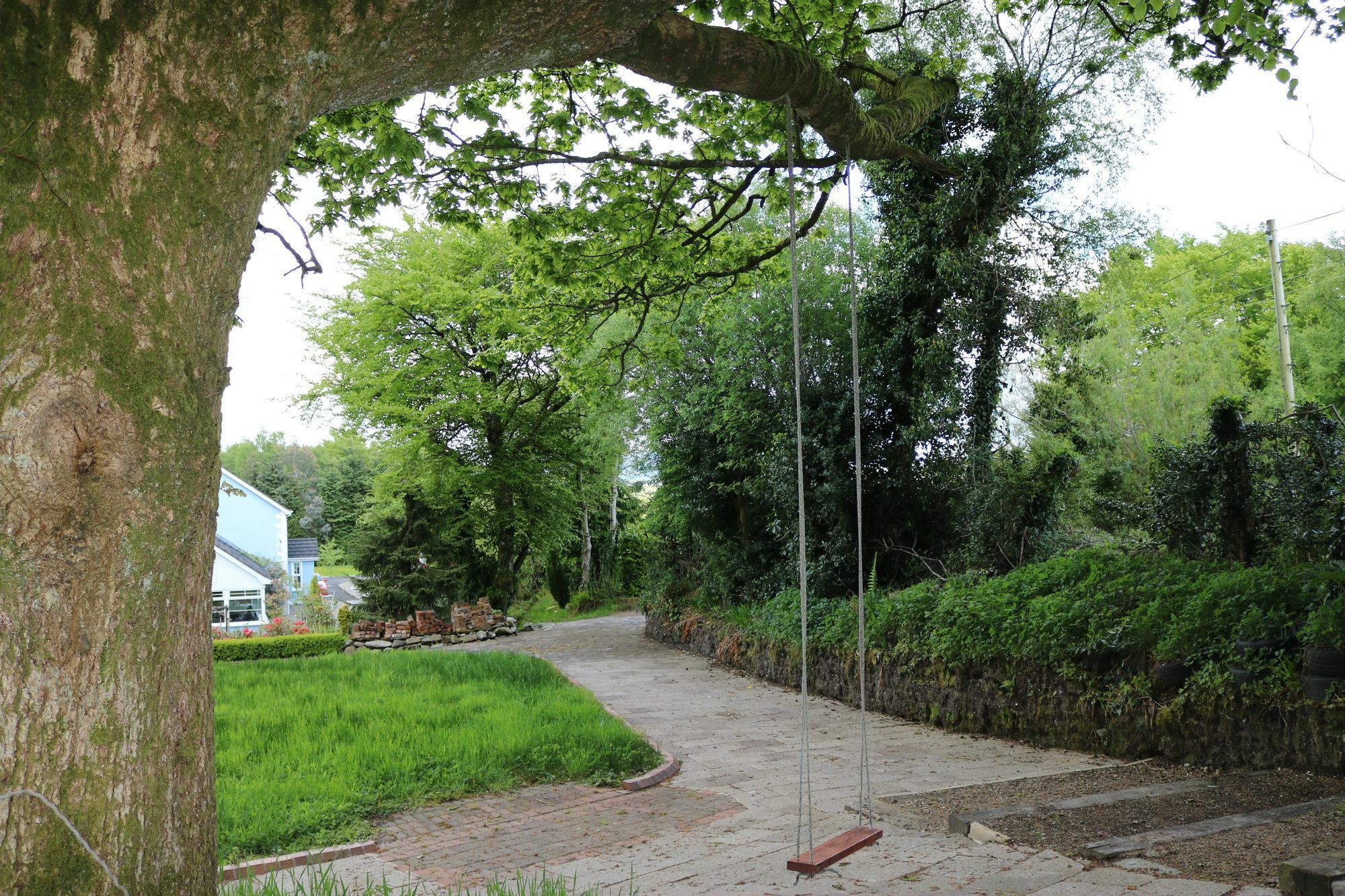 Five Oaks Bed & Breakfast Londonderry Ngoại thất bức ảnh